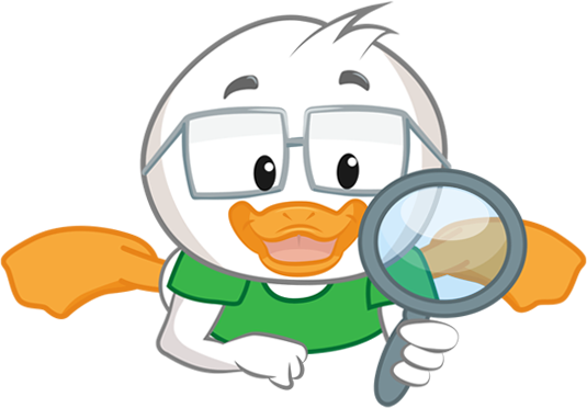 duck img